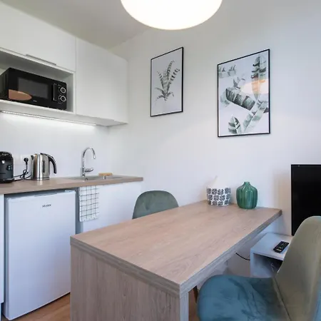 Apartamento Le Berliet - Montplaisir